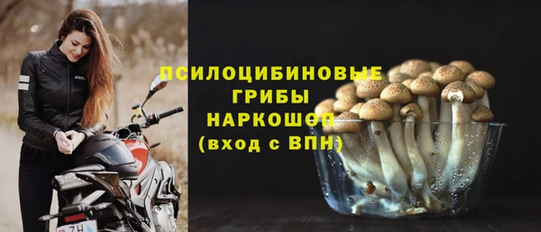 сатива Балахна