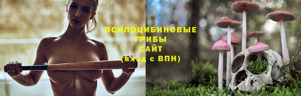 сатива Балахна