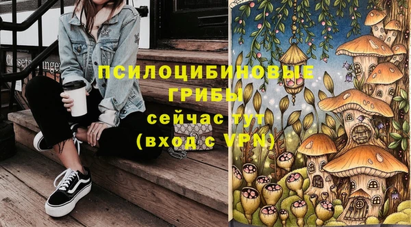 спайс Баксан