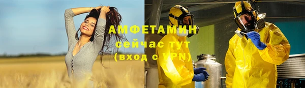 сатива Балахна