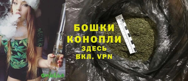 спайс Баксан