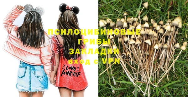 спайс Баксан